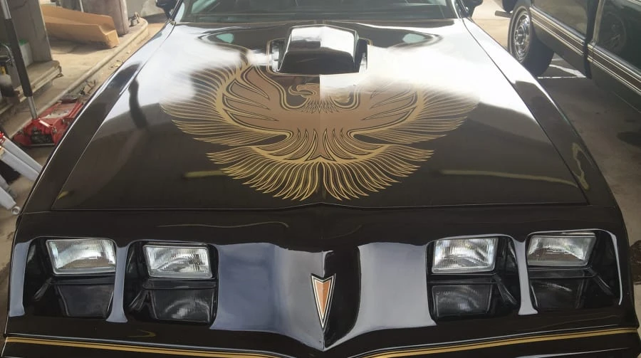 1981 Pontiac Firebird Trans Am 2nd Gen - Image 6 of 6