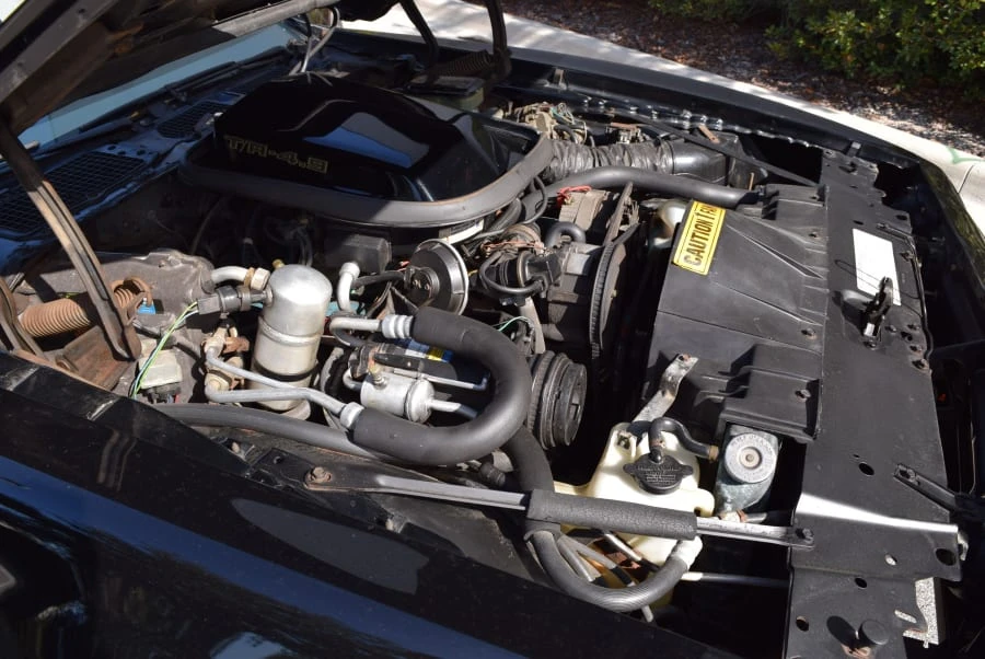 1981 Pontiac Firebird Trans Am 2nd Gen - Image 5 of 11
