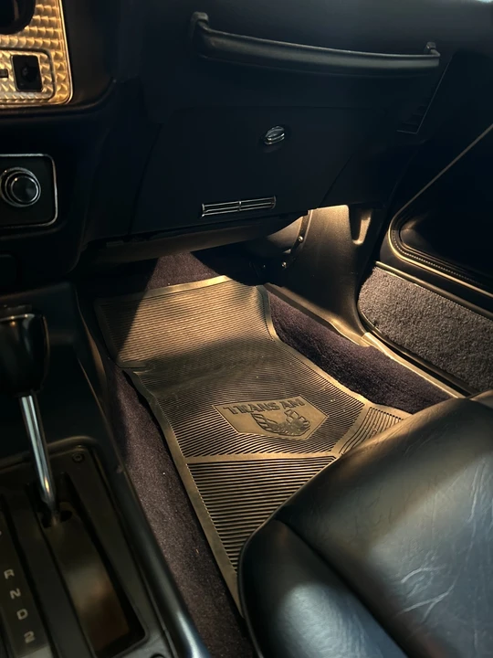 1981 Pontiac Firebird Trans Am 2nd Gen - Image 19 of 21