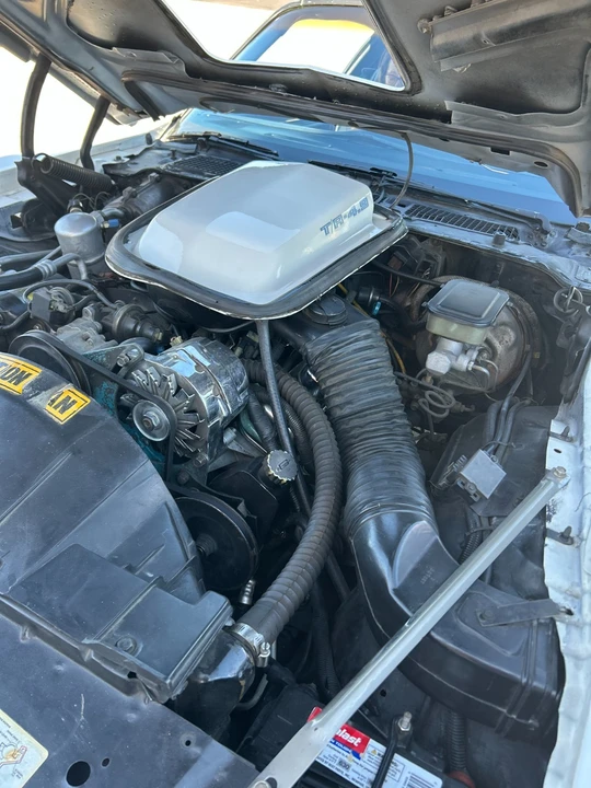 1981 Pontiac Firebird Trans Am 2nd Gen - Image 13 of 21