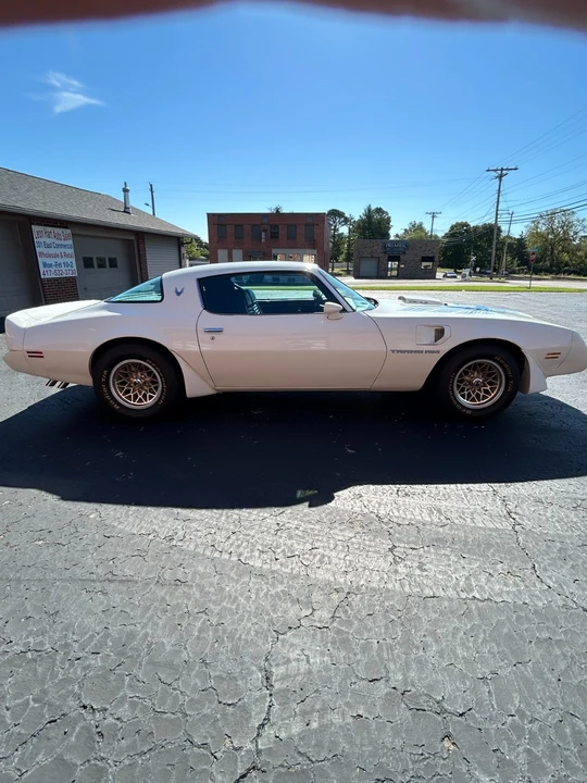 1981 Pontiac Firebird Trans Am 2nd Gen - Image 5 of 21