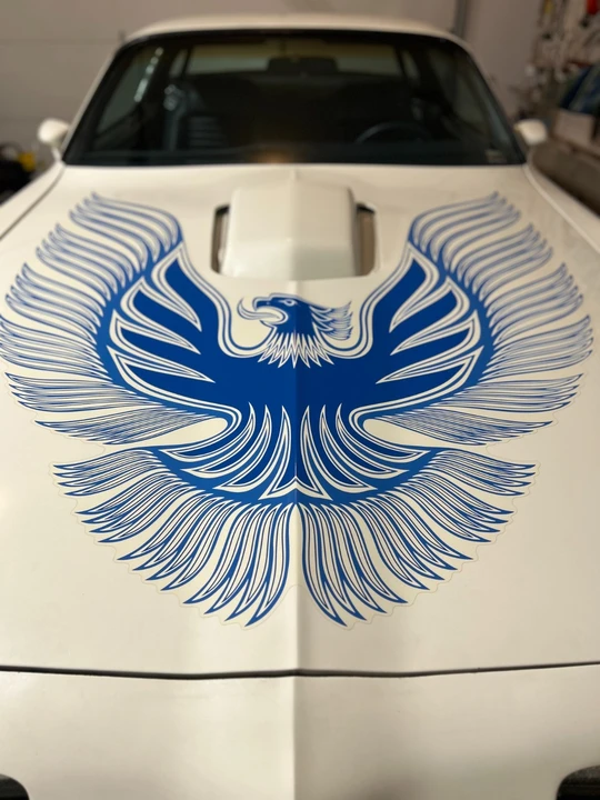 1981 Pontiac Firebird Trans Am 2nd Gen - Image 9 of 21