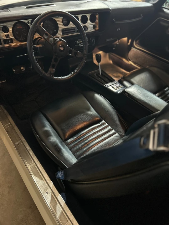 1981 Pontiac Firebird Trans Am 2nd Gen - Image 20 of 21