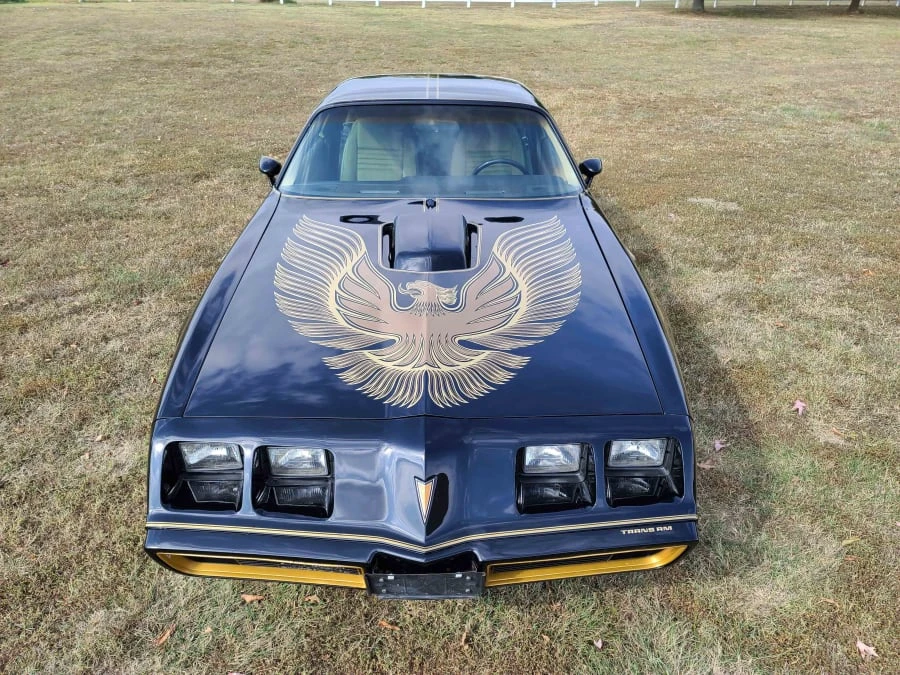 1981 Pontiac Firebird Trans Am 2nd Gen - Image 6 of 8