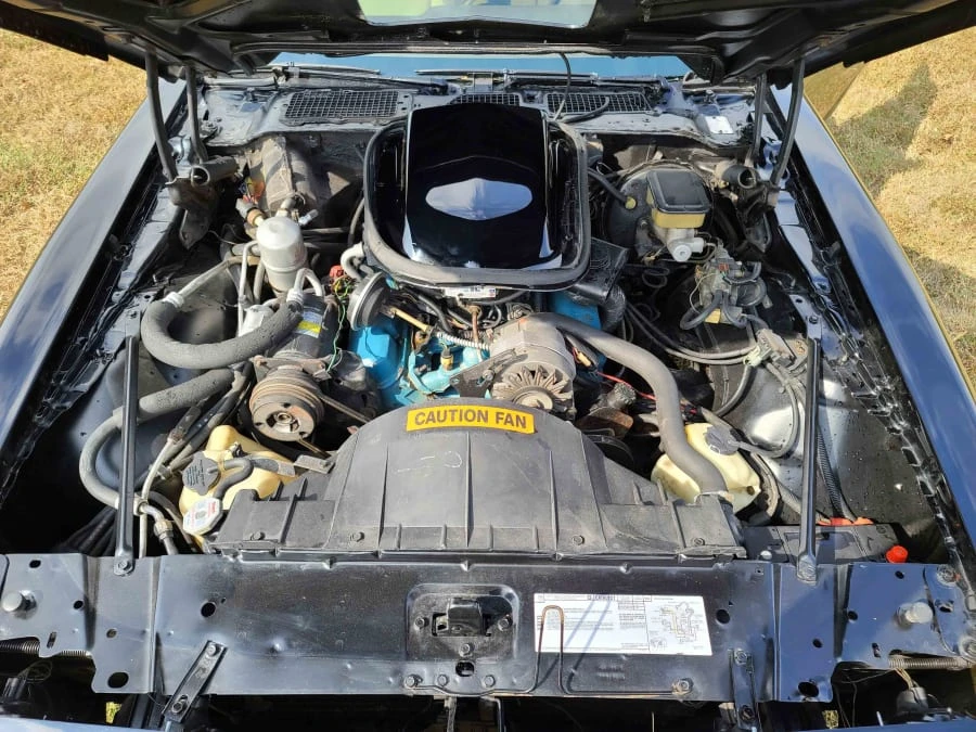 1981 Pontiac Firebird Trans Am 2nd Gen - Image 5 of 8
