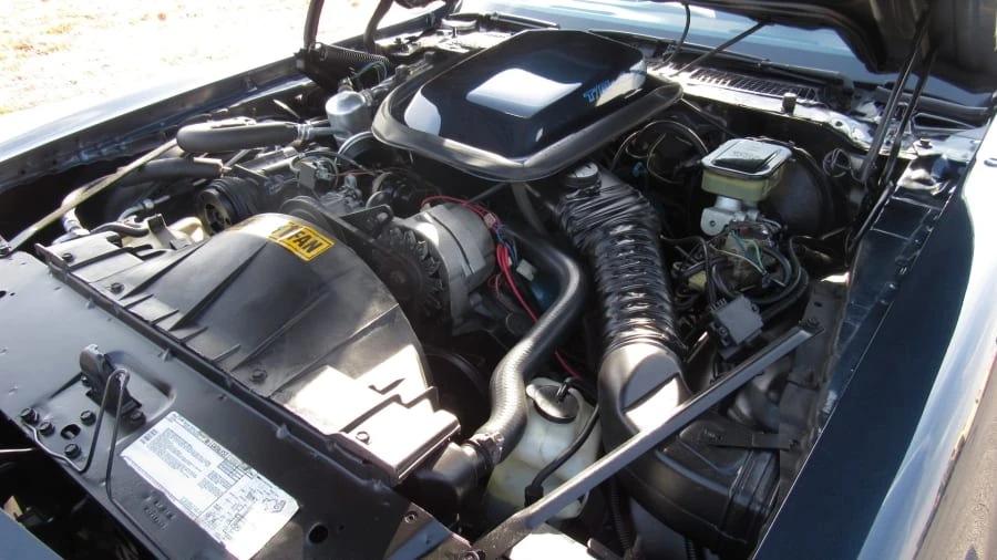 1981 Pontiac Firebird Trans Am 2nd Gen - Image 6 of 8