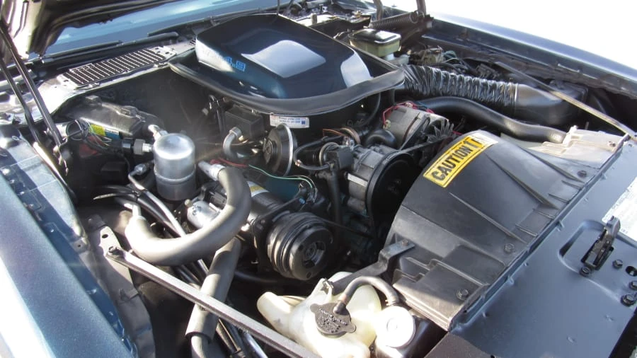 1981 Pontiac Firebird Trans Am 2nd Gen - Image 7 of 8