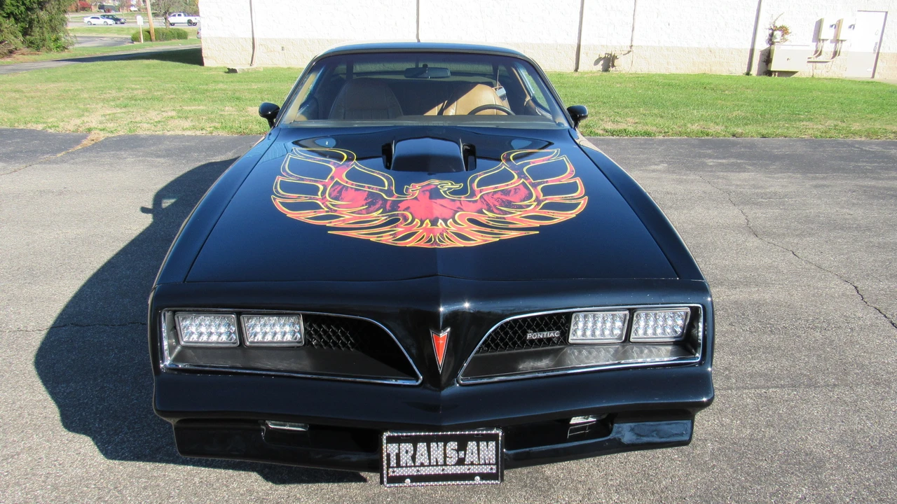 1981 Pontiac Firebird Trans Am 2nd Gen - Image 8 of 31