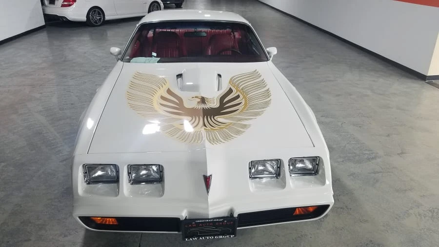 1981 Pontiac Firebird Trans Am 2nd Gen - Image 5 of 8