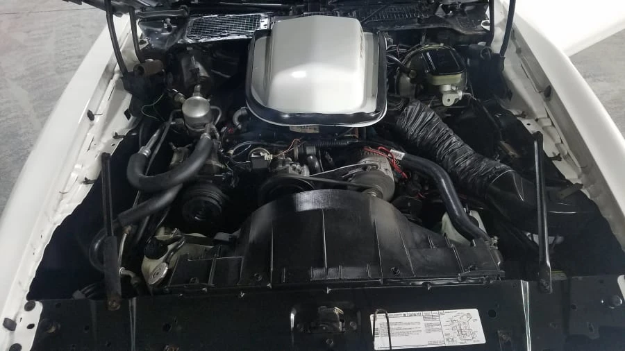 1981 Pontiac Firebird Trans Am 2nd Gen - Image 8 of 8
