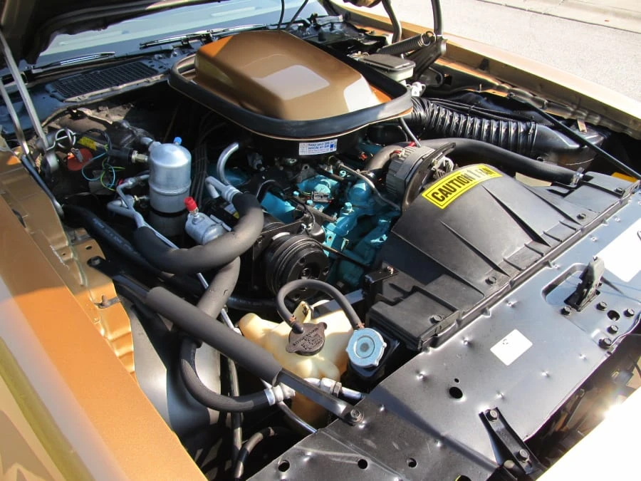 1981 Pontiac Firebird Trans Am 2nd Gen - Image 5 of 7