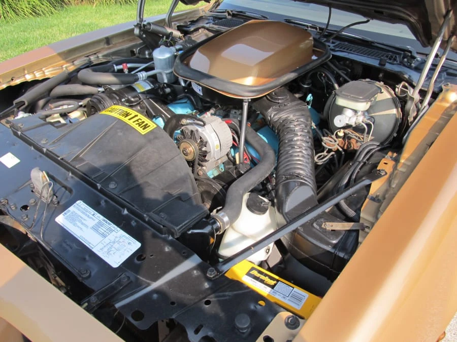 1981 Pontiac Firebird Trans Am 2nd Gen - Image 6 of 7