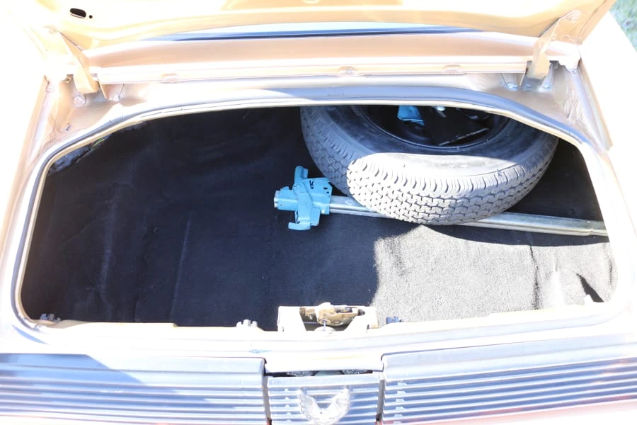 1981 Pontiac Firebird Trans Am 2nd Gen - Image 7 of 8