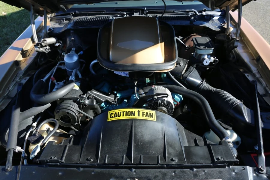 1981 Pontiac Firebird Trans Am 2nd Gen - Image 6 of 8