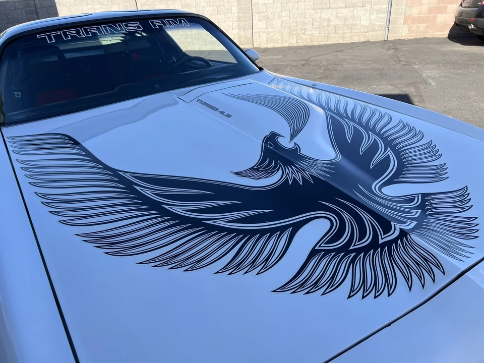 1981 Pontiac Firebird Trans Am 2nd Gen - Image 4 of 31