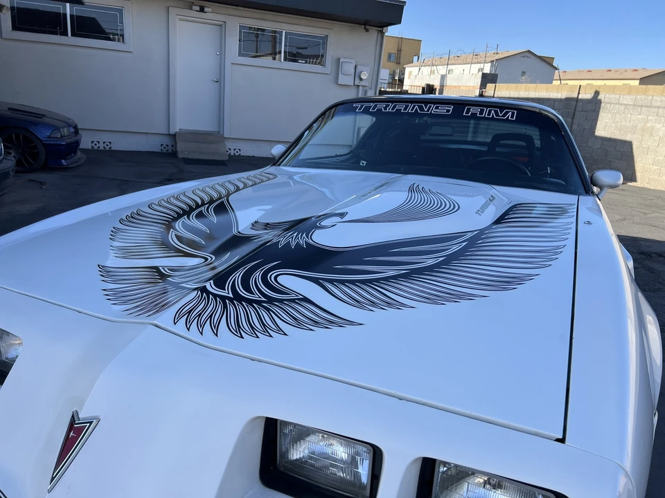 1981 Pontiac Firebird Trans Am 2nd Gen - Image 18 of 31