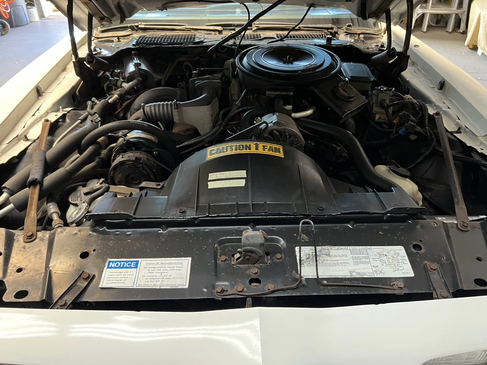 1981 Pontiac Firebird Trans Am 2nd Gen - Image 10 of 31