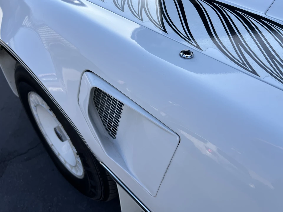 1981 Pontiac Firebird Trans Am 2nd Gen - Image 23 of 31