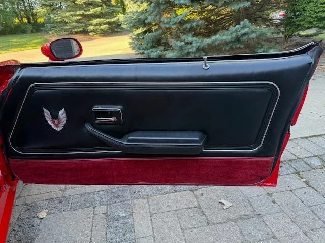 1981 Pontiac Firebird Trans Am 2nd Gen - Image 18 of 21