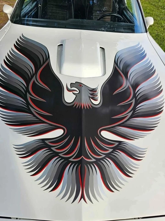 1981 Pontiac Firebird Trans Am 2nd Gen - Image 3 of 17