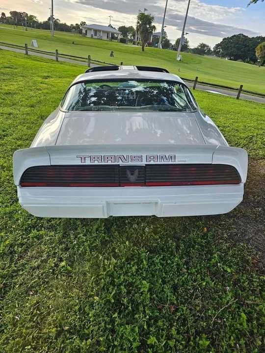 1981 Pontiac Firebird Trans Am 2nd Gen - Image 6 of 17