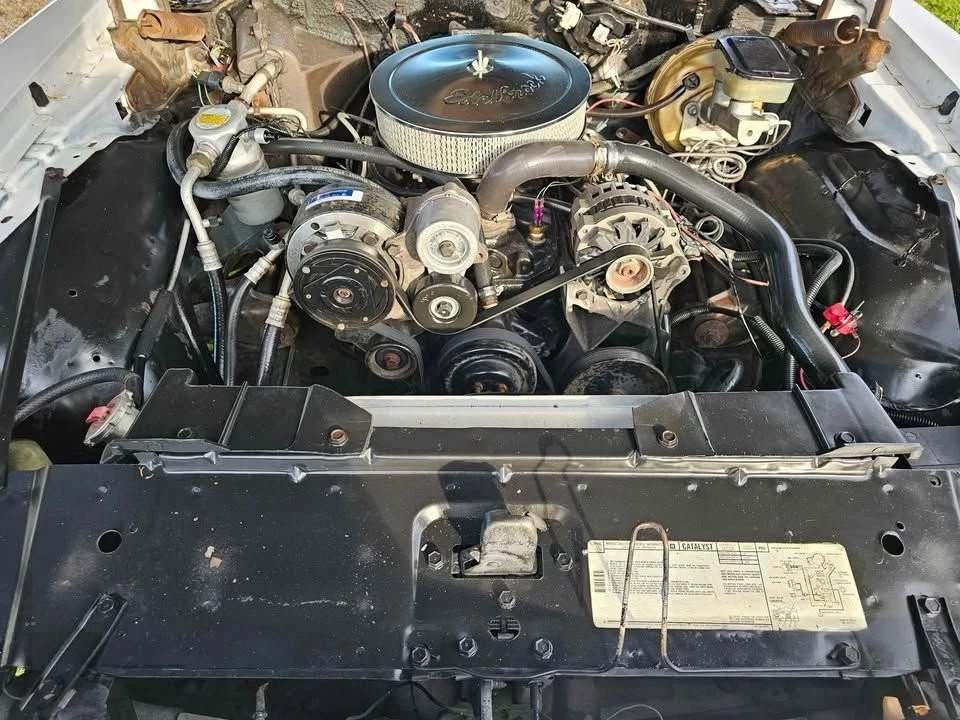 1981 Pontiac Firebird Trans Am 2nd Gen - Image 9 of 17
