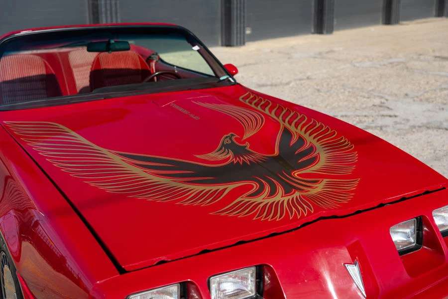 1981 Pontiac Firebird Trans Am 2nd Gen - Image 10 of 28