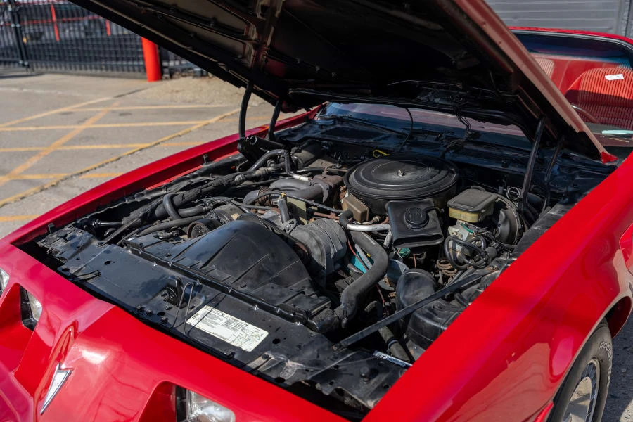 1981 Pontiac Firebird Trans Am 2nd Gen - Image 28 of 28
