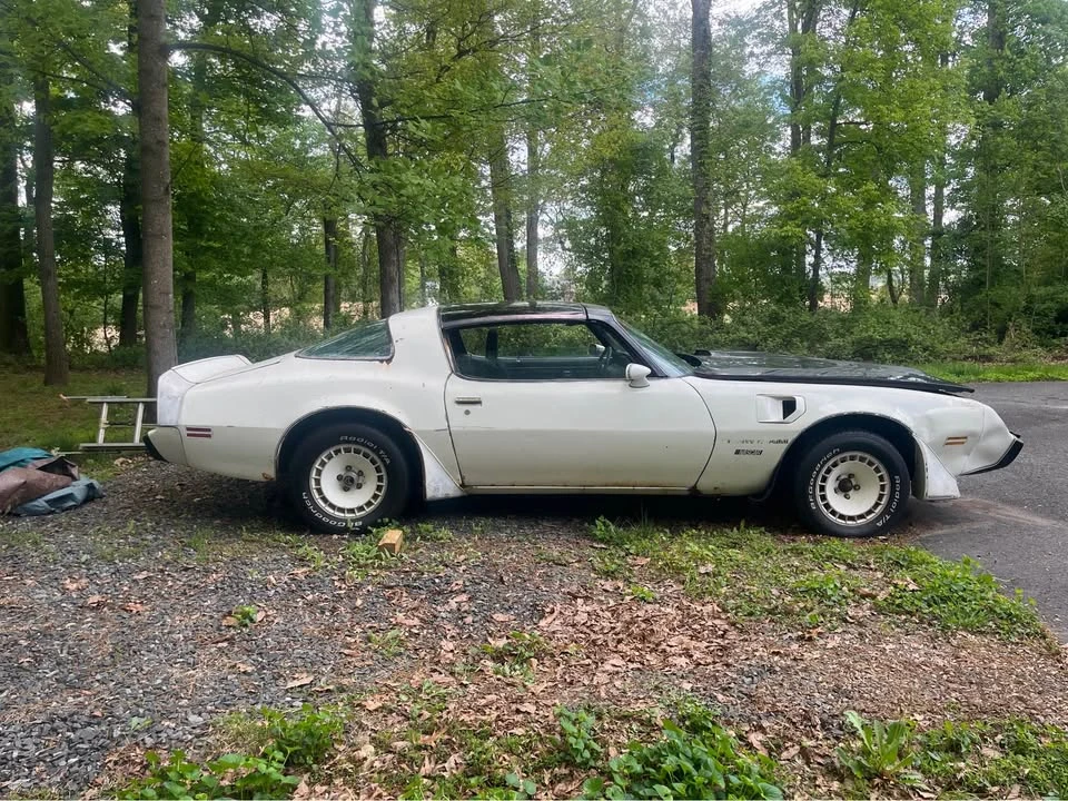 1981 Pontiac Firebird Trans Am 2nd Gen - Image 3 of 9