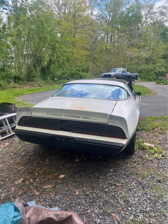1981 Pontiac Firebird Trans Am 2nd Gen - Image 5 of 9