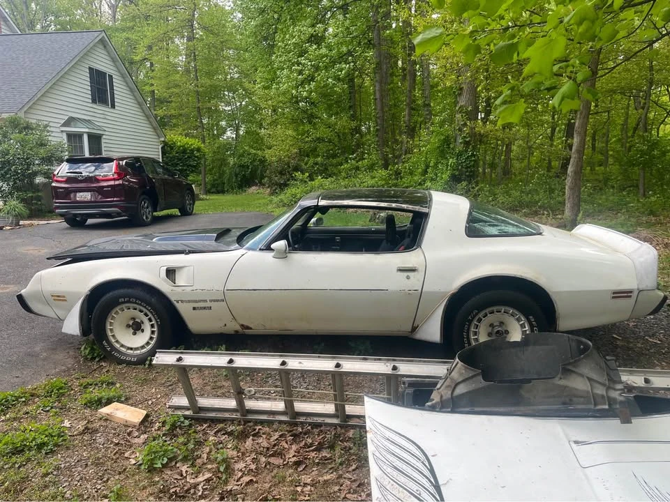 1981 Pontiac Firebird Trans Am 2nd Gen - Image 4 of 9