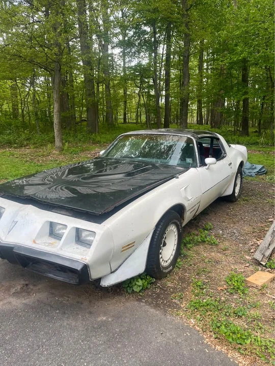 1981 Pontiac Firebird Trans Am 2nd Gen - Image 2 of 9