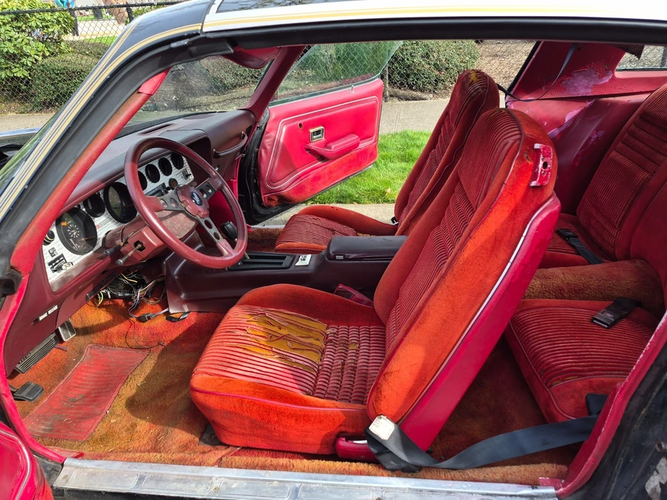 1981 Pontiac Firebird Trans Am 2nd Gen - Image 12 of 21