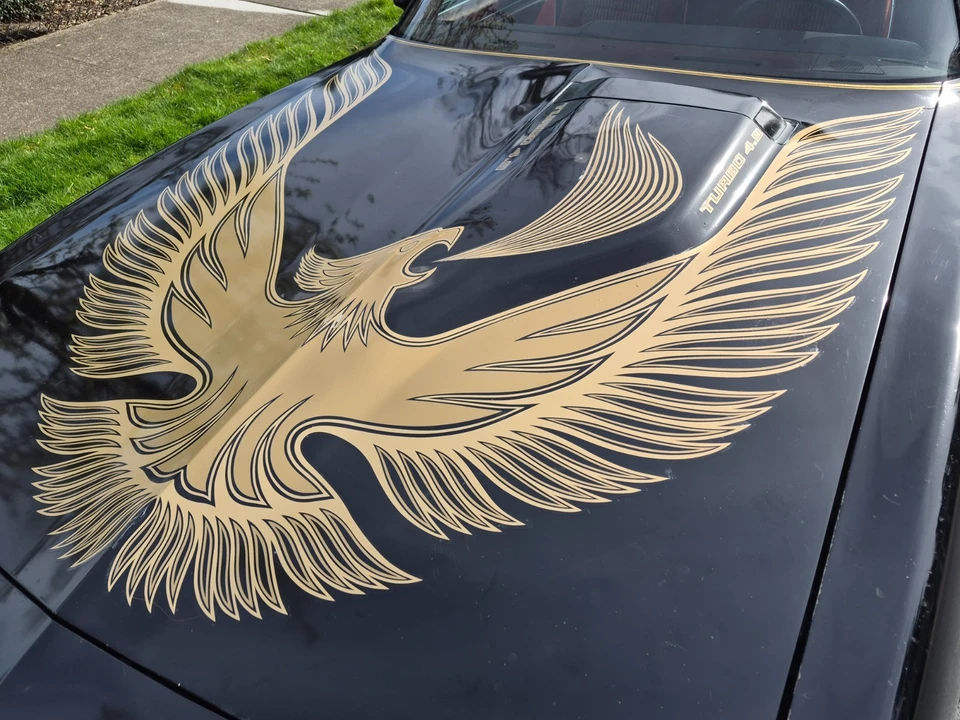 1981 Pontiac Firebird Trans Am 2nd Gen - Image 11 of 21