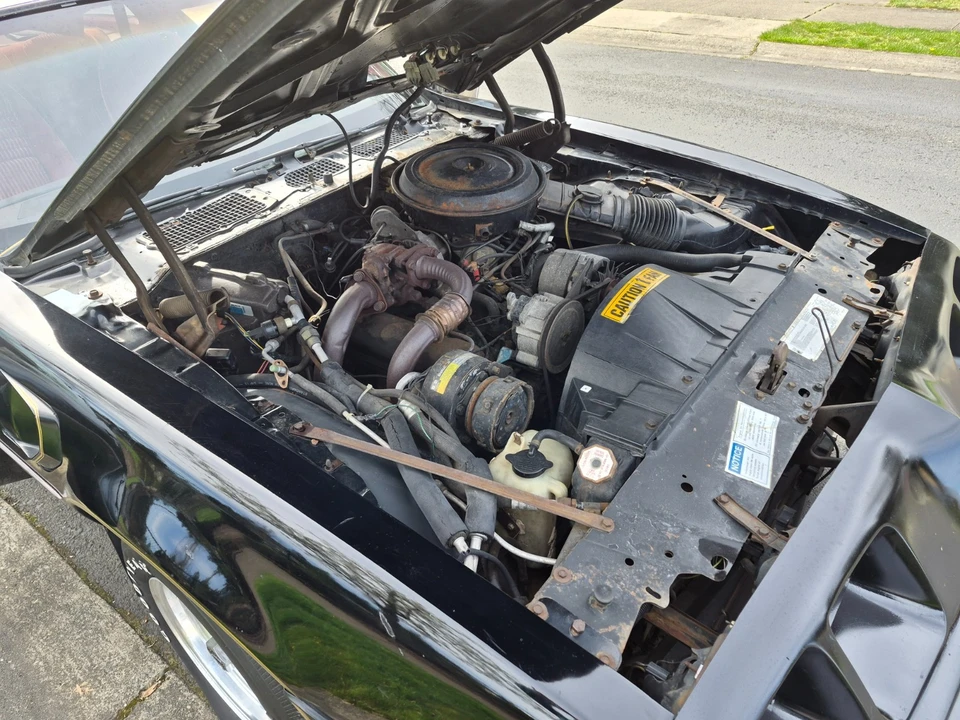 1981 Pontiac Firebird Trans Am 2nd Gen - Image 19 of 21