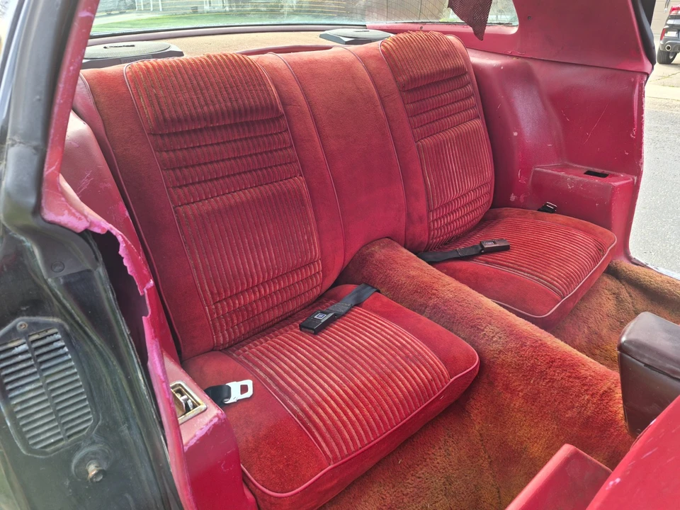 1981 Pontiac Firebird Trans Am 2nd Gen - Image 16 of 21