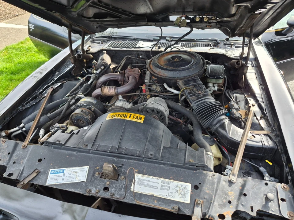 1981 Pontiac Firebird Trans Am 2nd Gen - Image 20 of 21
