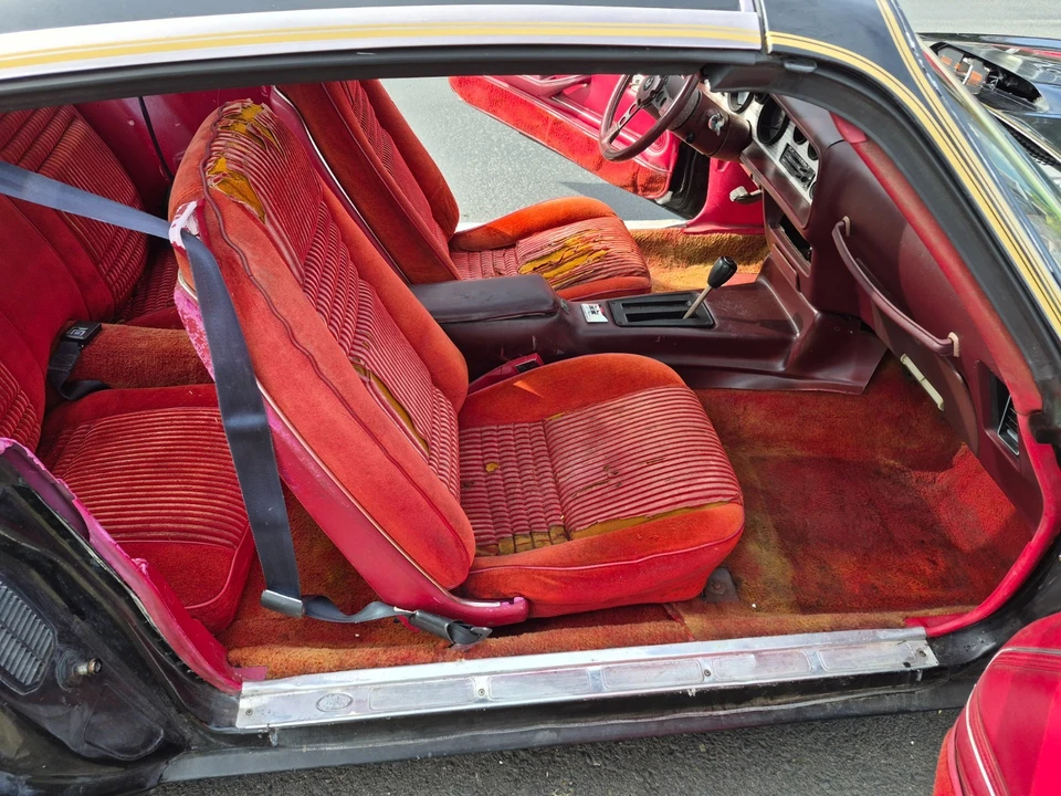 1981 Pontiac Firebird Trans Am 2nd Gen - Image 13 of 21