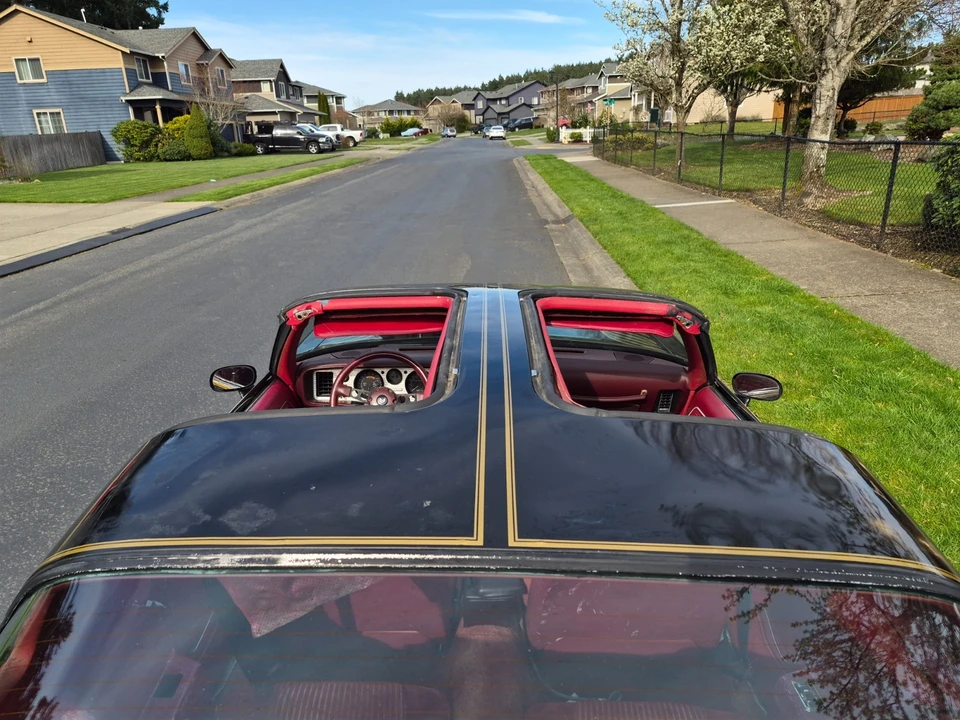 1981 Pontiac Firebird Trans Am 2nd Gen - Image 10 of 21