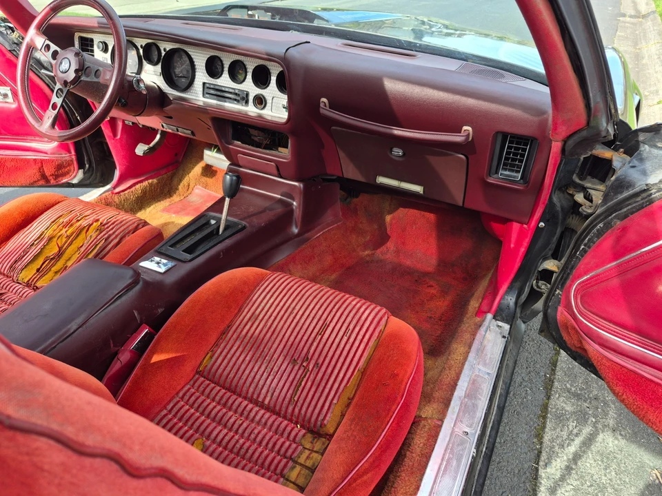 1981 Pontiac Firebird Trans Am 2nd Gen - Image 14 of 21