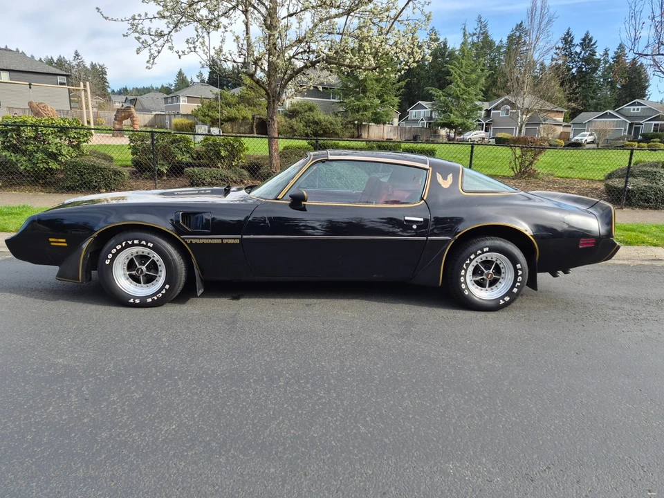 1981 Pontiac Firebird Trans Am 2nd Gen - Image 9 of 21