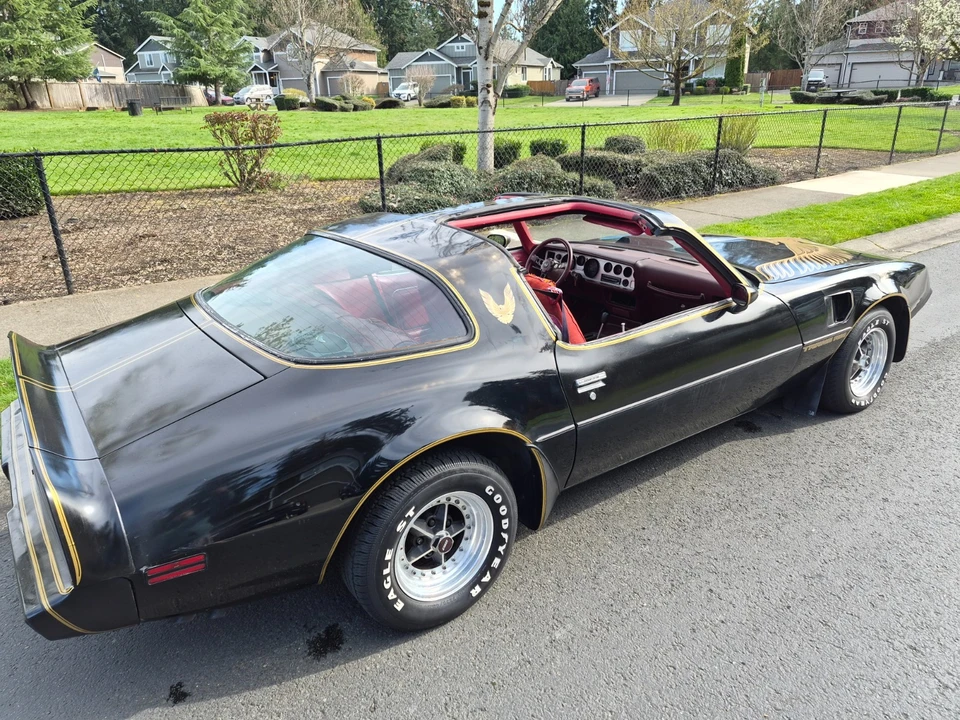 1981 Pontiac Firebird Trans Am 2nd Gen - Image 3 of 21