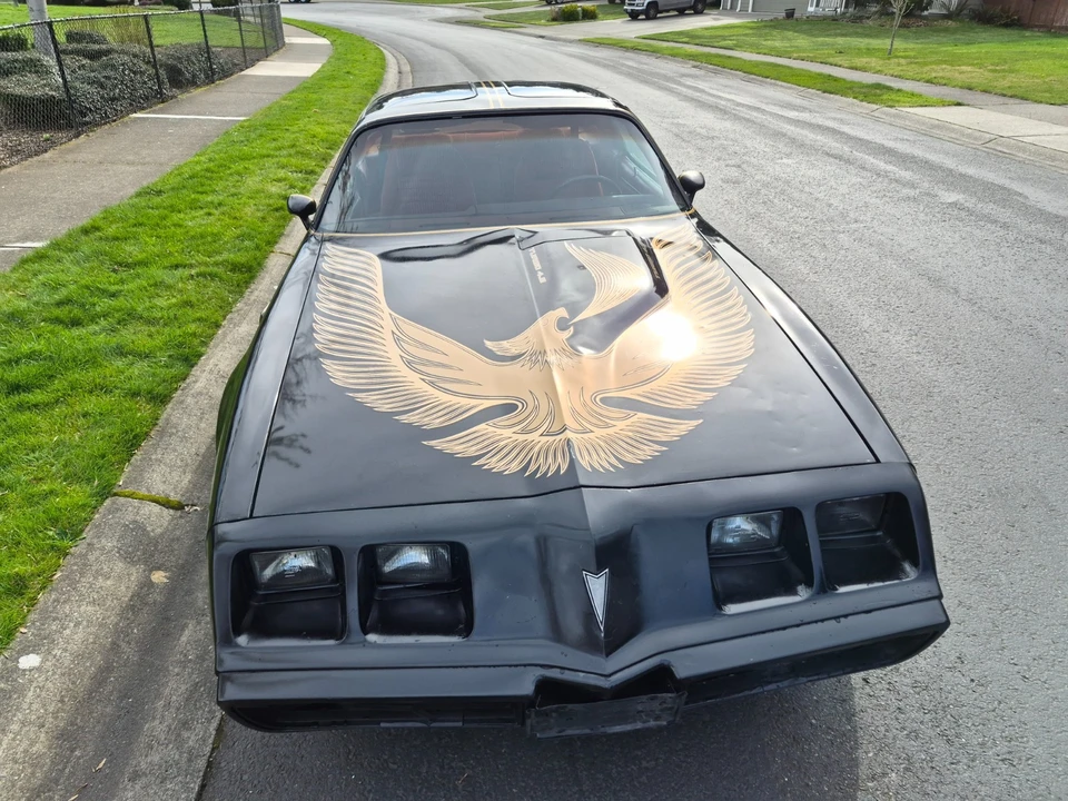 1981 Pontiac Firebird Trans Am 2nd Gen - Image 4 of 21