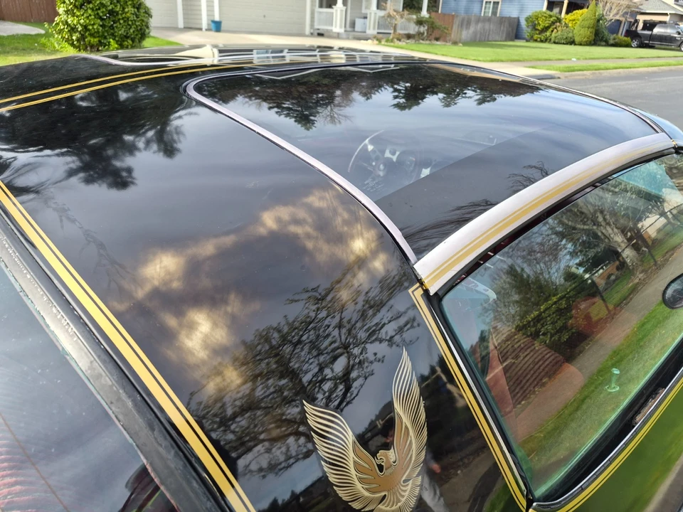 1981 Pontiac Firebird Trans Am 2nd Gen - Image 21 of 21