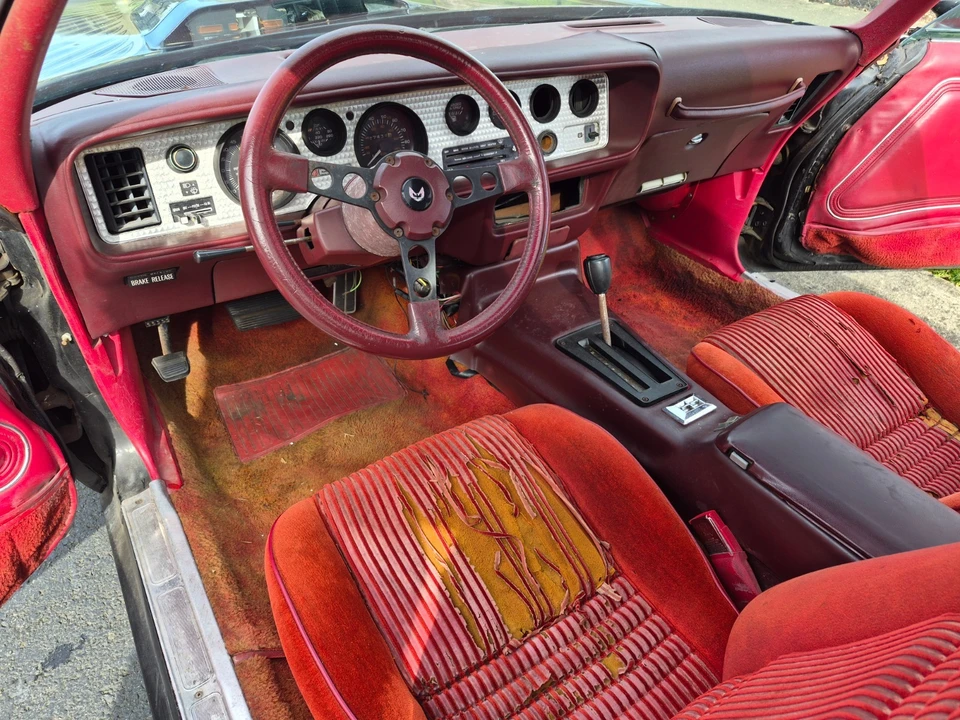 1981 Pontiac Firebird Trans Am 2nd Gen - Image 15 of 21