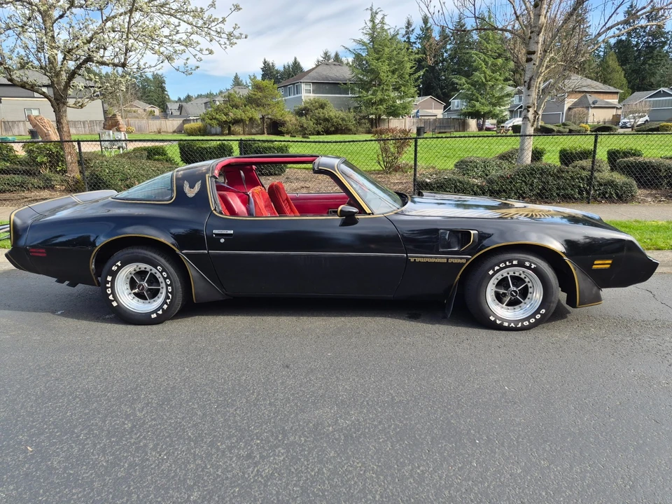 1981 Pontiac Firebird Trans Am 2nd Gen - Image 6 of 21