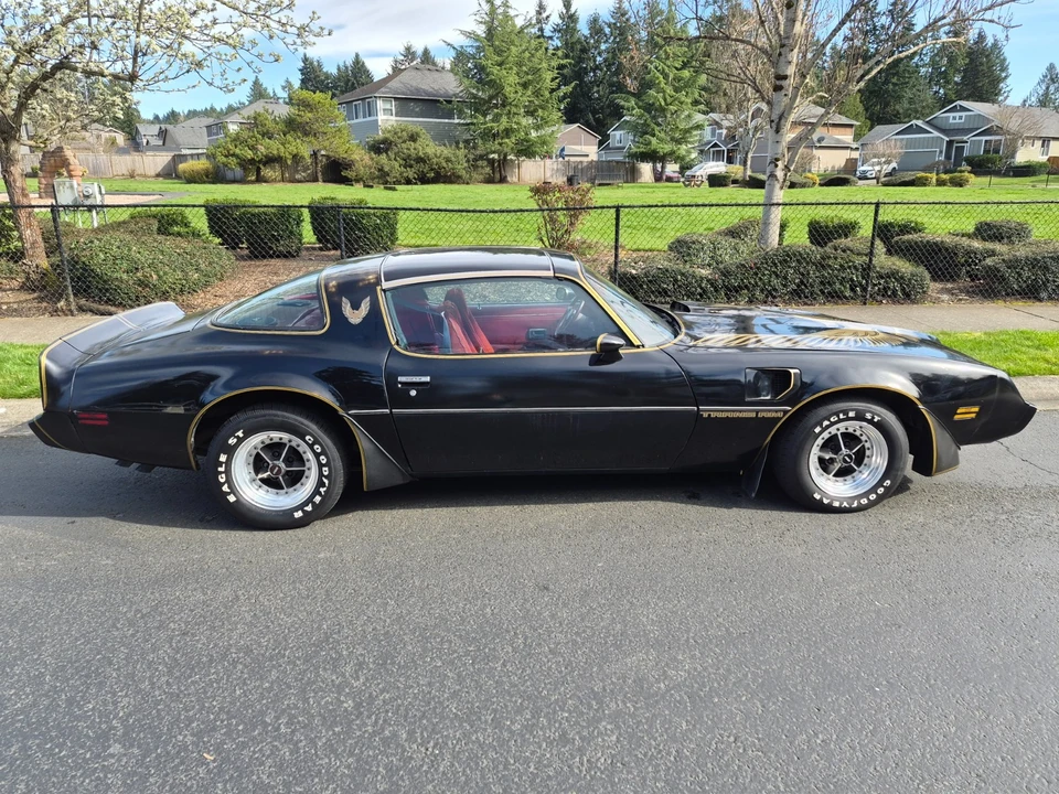 1981 Pontiac Firebird Trans Am 2nd Gen - Image 8 of 21