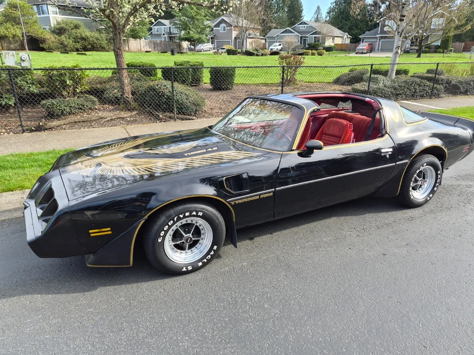 1981 Pontiac Firebird Trans Am 2nd Gen - Image 2 of 21