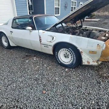 1981 Pontiac Trans Am Daytona 500 Pace Car