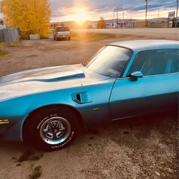 1981 Pontiac Trans Am